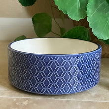 Load image into Gallery viewer, Nutrient Encoded Pet Water Bowl, Dogs