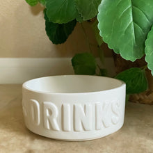 Load image into Gallery viewer, Nutrient Encoded Pet Water Bowl, Dogs