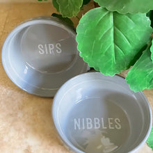 Load image into Gallery viewer, Nutrient Encoded Pet Water Bowl, Dogs